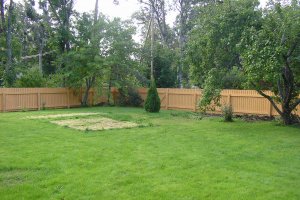 muraste lippaed 066.jpg